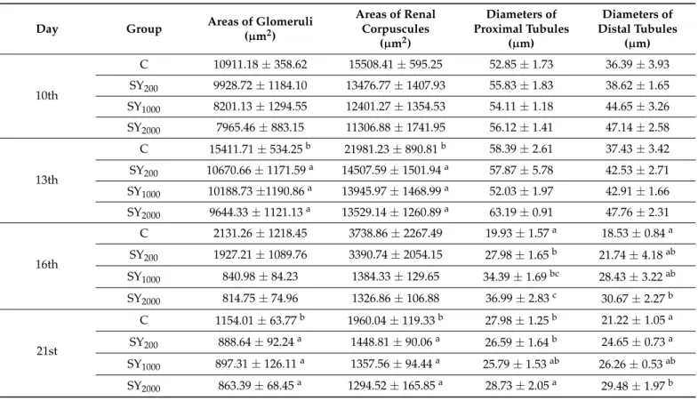 Table 3. The measurements of areas and diameters in the kidney structures (Mean ± SE).