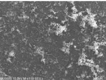 Figure 3a shows three different types of particles  in the 2.000x magnification micrograph