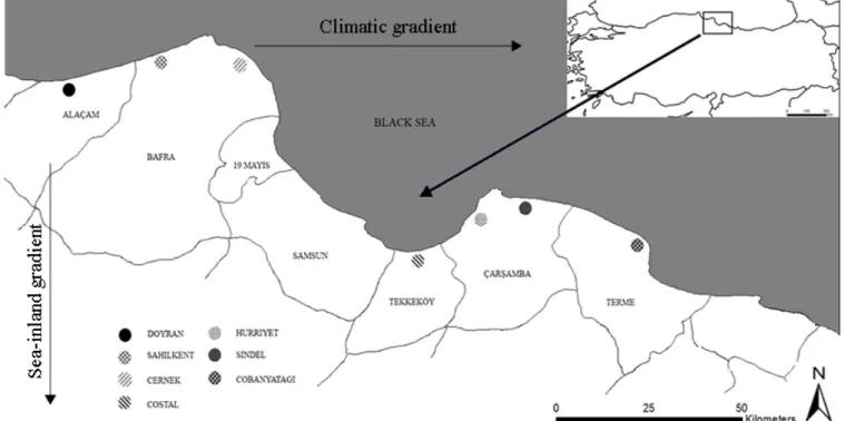 Figure 1. Studied coastal dune localities in the north of Turkey.