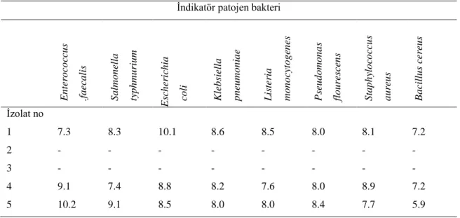 Çizelge 4.2. Lactobacillus delbrueckii subps. bulgaricus izolatlarının çeşitli indikatör patojen bakterilere  karşı  antimikrobiyal  aktivitelerinin  agar  sandviç  yöntemiyle  belirlenmesi  (inhibisyon  zon  çapları  mm  cinsinden verilmiştir)