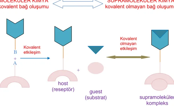 Şekil 1.1. Moleküler  ve supramoleküler kimya arasındaki ilişkinin şematik gösterimi 