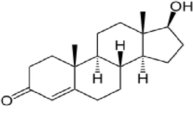 Şekil 1.1. Testosteronun yapısı. 