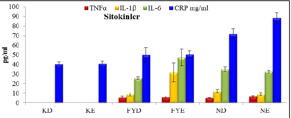 Grafik  3.2.  Nandrolon  dekanoat  uygulanan  erkek  ve  dişi  ratlarda  serum  IL-4  düzeyleri (pg/ml)