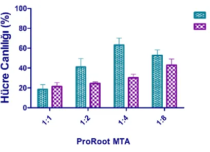 Şekil 3.6. Bir günlük ve 3 günlük sertleĢen MM-MTA’nin 24 saatlik eluatına maruz  bırakılan PDL hücrelerinin % cinsinden canlılığı  