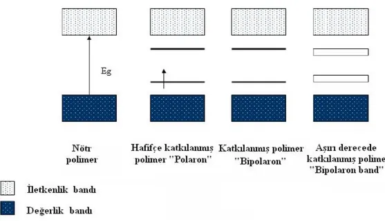 Şekil 1.5: Polimerlerde katkılama ile oluşan bandların gösterimi. 