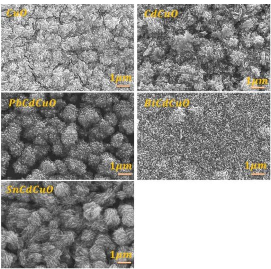 Fig. 3    SEM images of  CuO,   Cd 0.01 Cu 0.99 O and   Cu 0.98 Cd 0.01 M 0.01 O (M: Pb, Bi,  Sn) films
