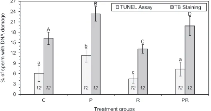 Fig. 3. DNA damages detected in the treatment groups using the TUNEL assay and the TB staining