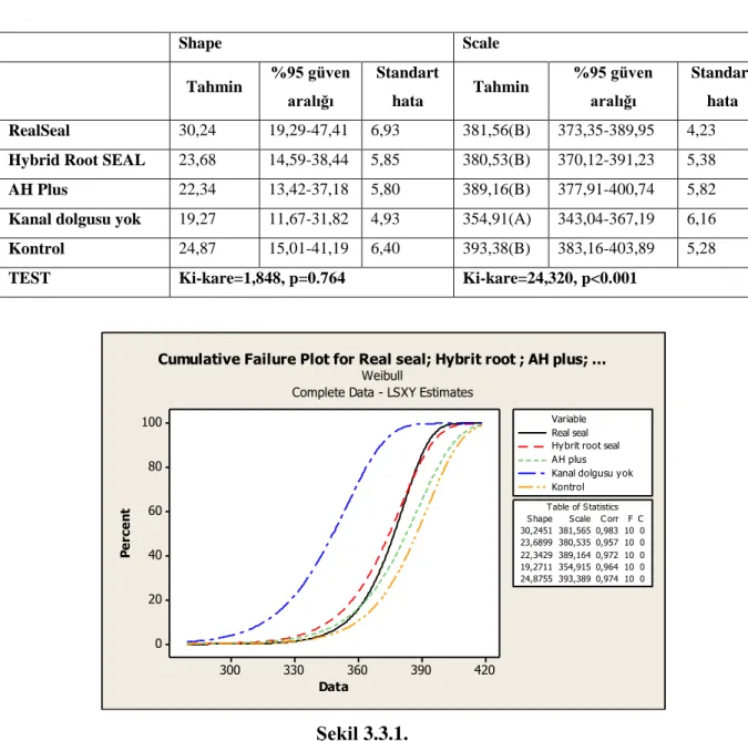 Table of StatisticsReal sealHybrit root sealAH plus Kanal dolgusu yokKontrolVariable