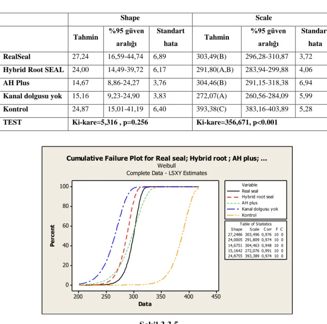 Table of StatisticsReal seal Hybrid root sealAH plus Kanal dolgusu yokKontrolVariable