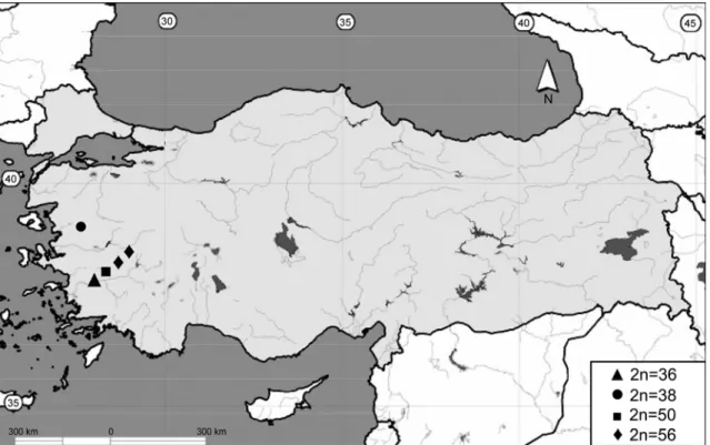 Şekil 3.1. Araştırmanın yapıldığı Ege Bölgesi’ndeki kör fare örneklerin toplandığı lokaliteler