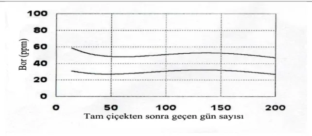 Şekil 2.7. Elma yapraklarında B’a ait referans eğri 