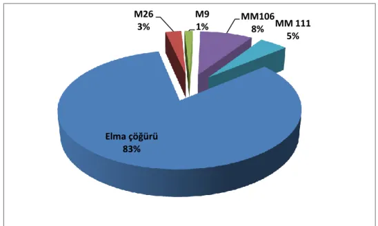 Şekil 3.4. Örnek alınan bahçelerin anaçlara göre dağılımı 