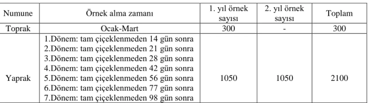 Çizelge 3.3. Projede toplam alınan toprak ve yaprak sayısı ve örnek alma zamanları 