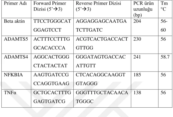 Tablo 3.2. ADAMTS5 geni promoter konstraktlarının oluşturulması için kullanılan  primer listesi 