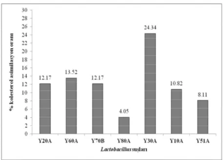 Şekil 4.2.Lactobacillus delbrueckii subsp. bulgaricus suşlarının kolesterol indirgeme % oranları 