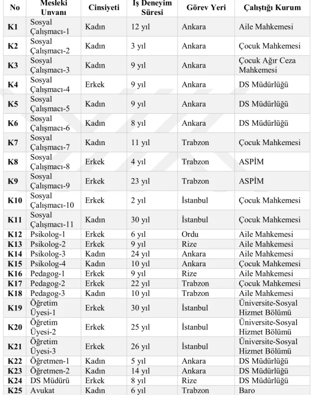 Çizelge  3.1  Araştırma  kapsamında  görüşme  yapılan  çocuk  adalet  sistemi  çalışanlarına ilişkin bilgiler
