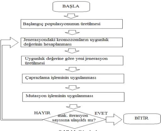 Şekil 4.1. GA adımları 