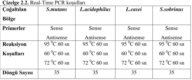 Çizelge 2.2. Real-Time PCR koĢulları   Çoğaltılan 