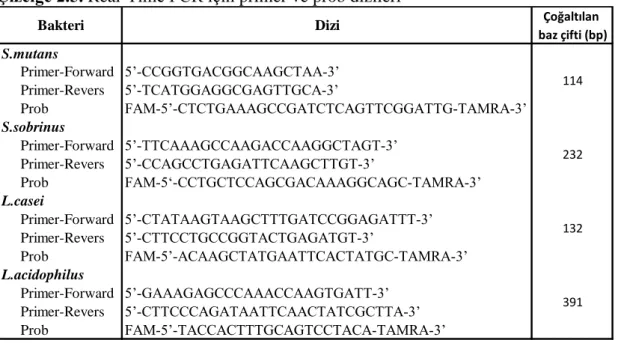 Çizelge 2.6. Real-Time PCR‟da kullanılan karıĢımın içeriği 
