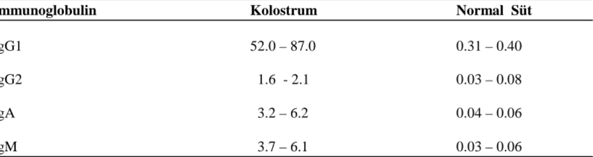Çizelge  1.4.  Kolostrum  ve  Normal  Sütte  Bazı  İmmunoglobulin  Konsantrasyonu       (g 1ֿ¹ ) 