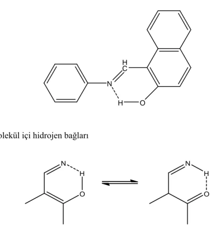 Şekil 1.6.  Molekül içi hidrojen bağları 