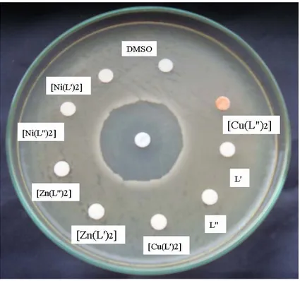 Şekil 5.2. Bacillus cereus’ un Schiff bazları ve komplekslerinin üzerindeki etkisi (125  µg/disk) 