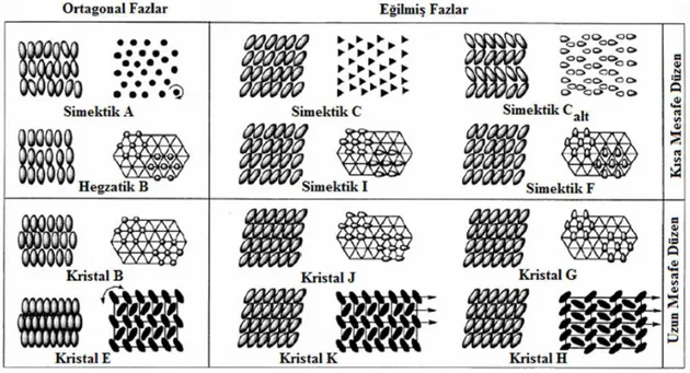 ġekil 1.2.12. Farklı Simektik Faz Düzenlenmeleri 