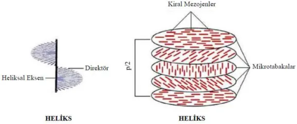 ġekil 1.2.15. Hidroksipropil selüloz (Solda) ve Kolesteril benzoat (Sağda) 