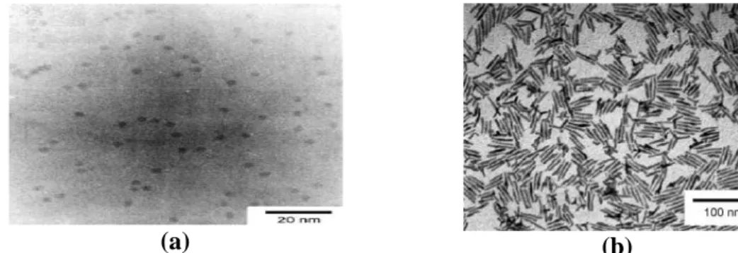 Şekil  2.9.  (a)  Murray  ve  ark.  (1993)  tarafından  sentezlenen  küresel  CdSe  nanoparçacıkları,  (b)  Alivizatos ve ark