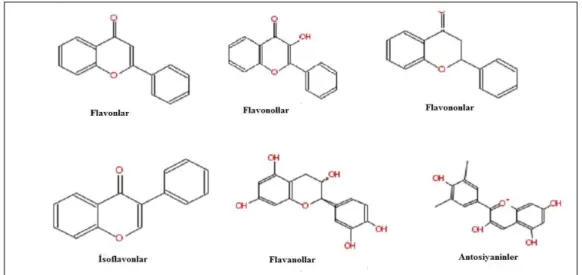Şekil 2.4.  Flavonoid grupları 
