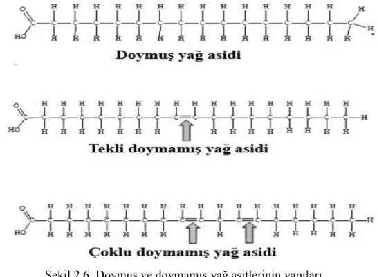 Şekil 2.6. Doymuş ve doymamış yağ asitlerinin yapıları 