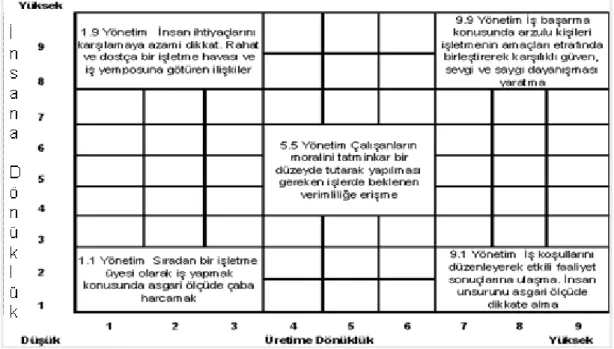 Şekil 1.2. Liderlik Izgarası 