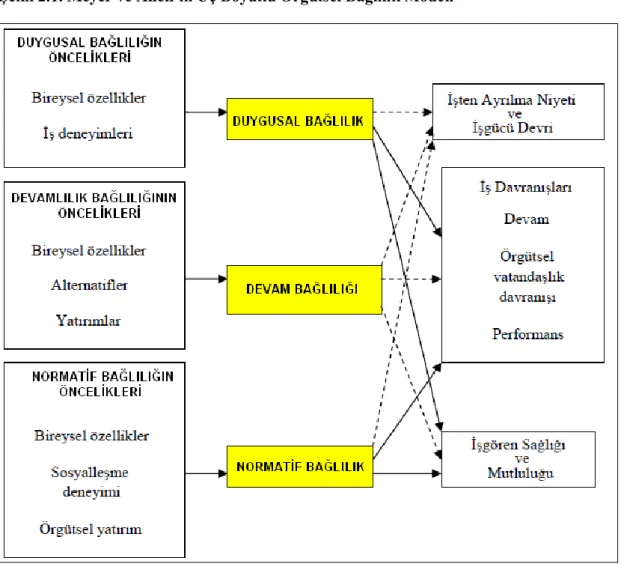 Şekil  2.1.’  de  Meyer  ve  Allen  (1991,  1997)  tarafından  önerilen  üç  boyutlu  örgütsel  bağlılık  modeline  göre,  örgütsel  bağlılığın  öncül  değişkenleri  ve  sonuçlarının özeti sunulmaktadır (Meyer vd., 2002: 22): 