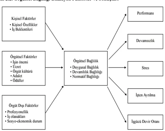 Şekil 2.2. Örgütsel Bağlılığı Etkileyen Faktörler ve Sonuçları  