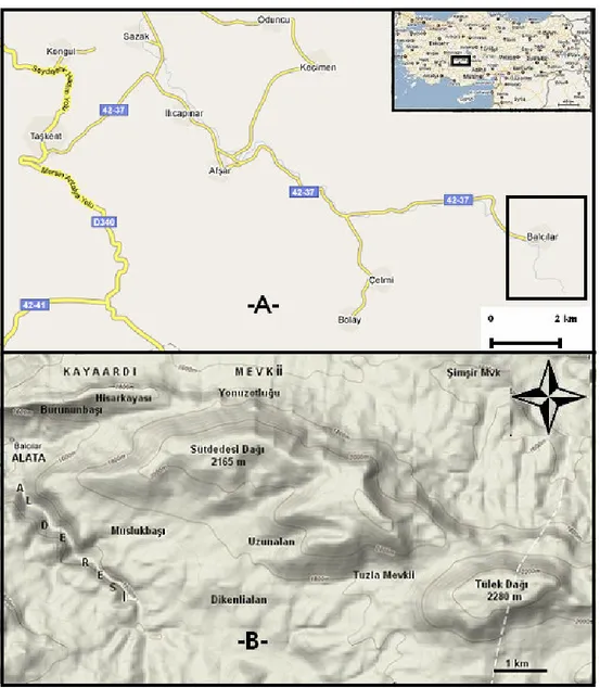 Şekil 1. Araştırma bölgesi haritası. A- yol haritası, B- arazi durum haritası  (www.maps.google .com adresinden alınmış ve düzenlenmiştir)