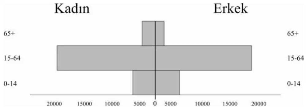 Tablo 19: Araştırma Sahasındaki Nüfusun Geniş Aralıklı Yaş Bileşimi (2008)  Yaş  Erkek % Kadın % Toplam % 