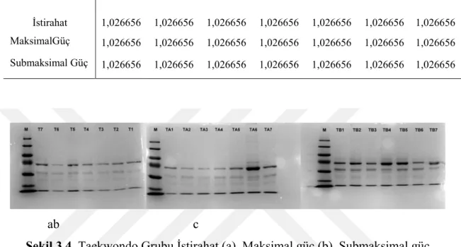 Tablo 3.4.  Taekwondo grubu protein konsantrasyonu (Bradford) 