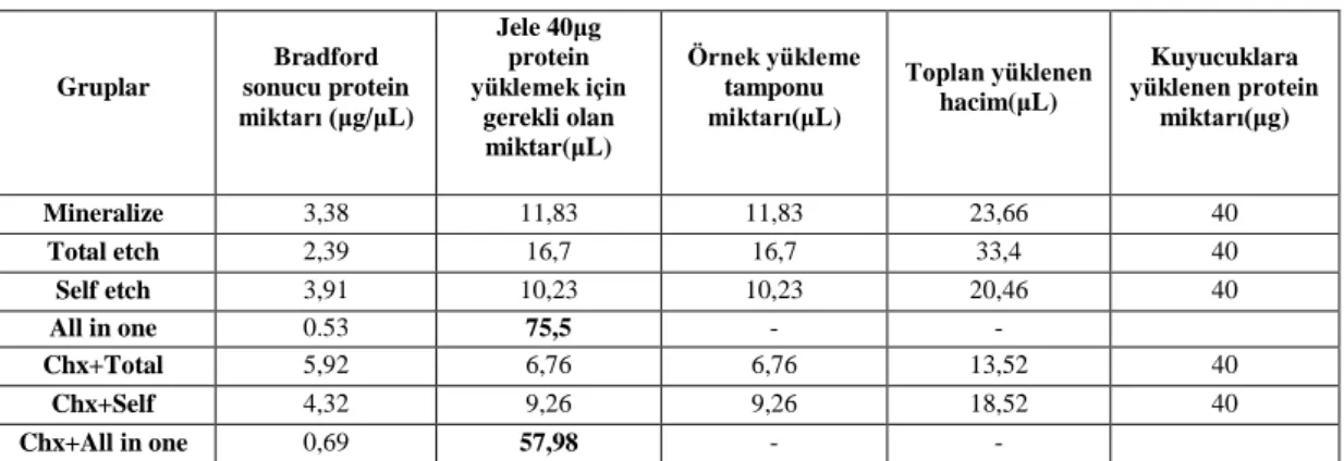 Çizelge 4.1. Protein miktar tayini sonuçları. 