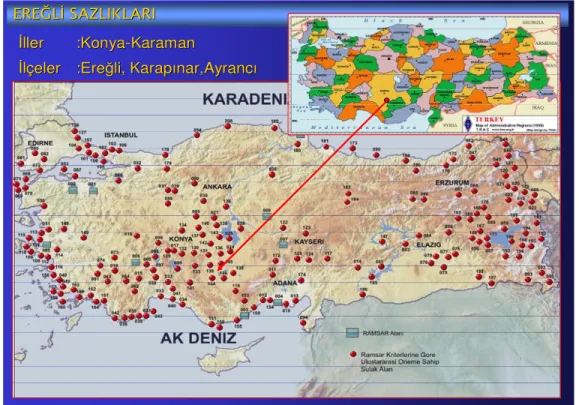 Şekil 3.2. Türkiye’deki Ramsar alanları ve Ramsar kriterlerini taşıyan sulak alanlar 