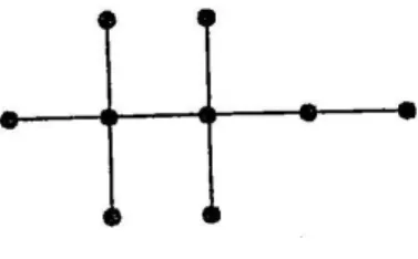 Şekil 1.9. Bir  T  ağacı  (Aldous ve Wilson, 2000) 