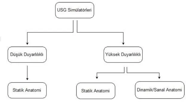 Şekil 2.1. USG simülatörlerinin sınıflandırması 