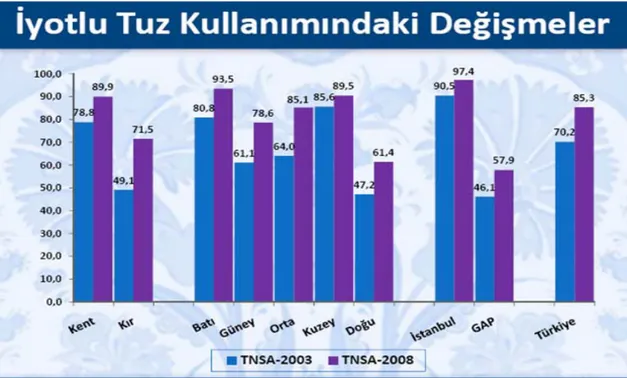 Şekil 3. 2003 yılı ile 2008 yılı arasındaki iyotlu tuz kullanım oranlarındaki değişim  Türkiye Nüfus ve Sağlık Araştırması 2008 (TNSA 2008) 