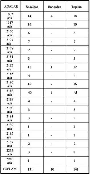 Tablo 4.3. Haydar Mahallesi Sivil Mimari Örneği Konutların Yaklaşım Biçimleri Analizi  