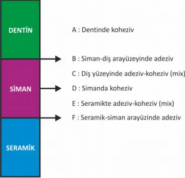 Şekil  1.2. Kırık yüzey analiz sınıflamasının şematik gösterimi Hikita ve ark (2007). 1.9.3