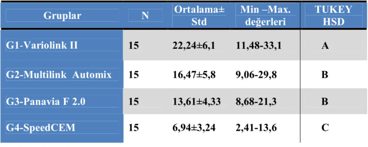 Çizelge  3.2. Rezin siman gruplarının mikrogerilim test sonucu elde edilen verilerinin ortalama, standart sapma, minimum ve maksimum değerleri (MPa), Tukey HSD test sonucu.