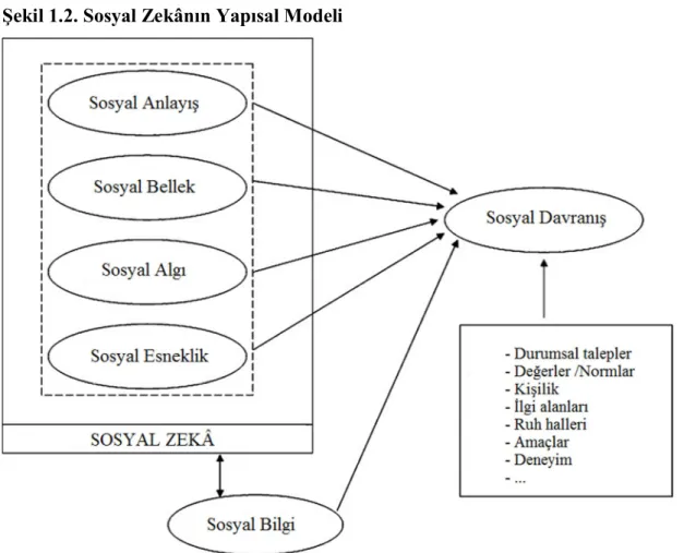Şekil 1.2. Sosyal Zekânın Yapısal Modeli 