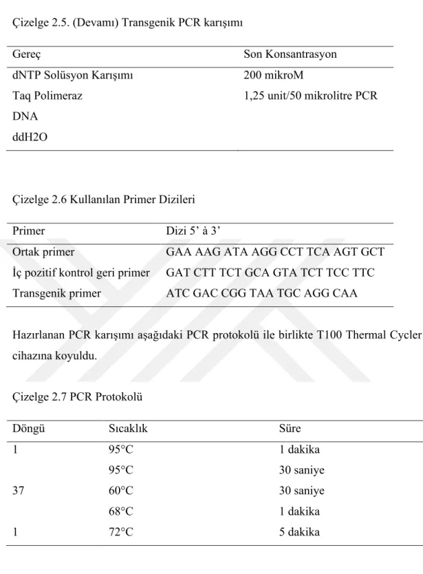 Çizelge 2.5. (Devamı) Transgenik PCR karışımı  