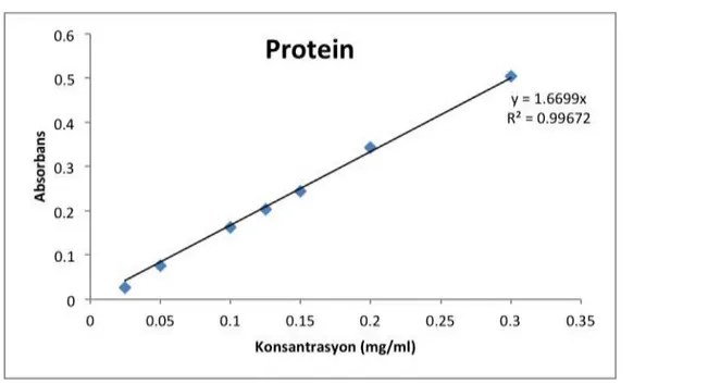 Şekil 8 Protein standartlarına ait standart eğri ve doğrusallık denklemi.    