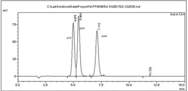 Şekil 12 10 µM ATP, ADP ve AMP mix standardının kromatogramı. 