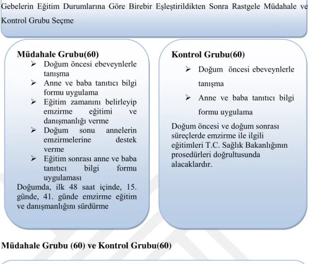 Şekil 1: Araştırma Planı 